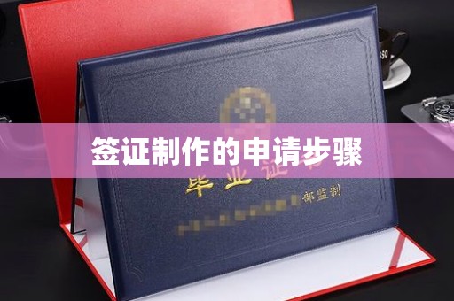 扬中签证制作的申请步骤
