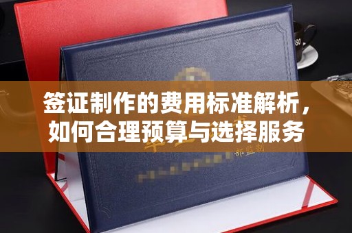 扬中签证制作的费用标准解析，如何合理预算与选择服务