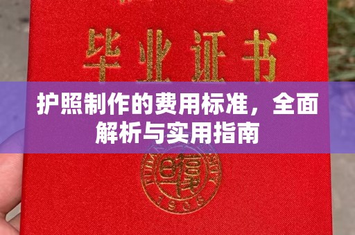 扬中护照制作的费用标准，全面解析与实用指南