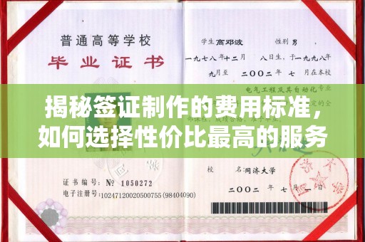 扬中揭秘签证制作的费用标准，如何选择性价比最高的服务？