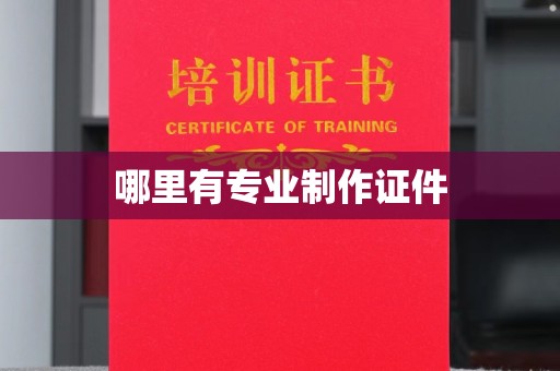 扬中哪里有专业制作证件