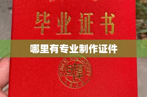 扬中哪里有专业制作证件